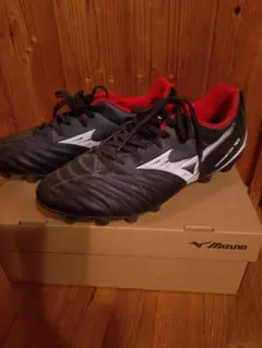 Item thumbnail for item d3352797-08ab-406c-b7bf-247ddc272012