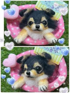 タコヤキ様　犬羊毛フェルトお手手付き タコヤキ様 犬羊毛フェルトお手手付き - メルカリ
