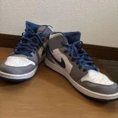 Nike Air Jordan1トゥルーブルー 28cm