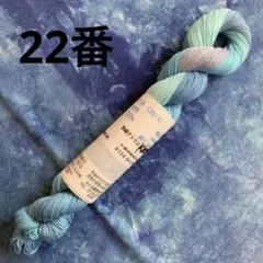 青バラちゃん様 リクエスト 4点 まとめ商品