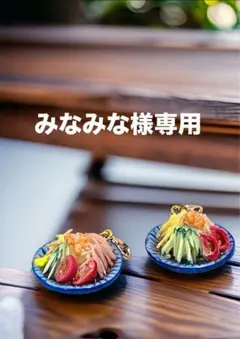 みなみな様専用 冷やし中華チャーム