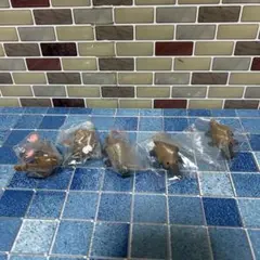 不思議な生き物　カモノハシ　カプセルコレクション