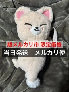 SKZOO PLUSH BAG Foxl.Ny フォクシニー・トレカ アイエン - メルカリ