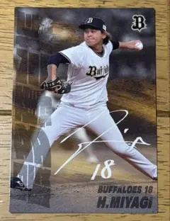 プロ野球チップス 2025 第1弾 宮城大弥 最多奪三振 オリックス