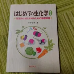 Item thumbnail for item 801b20b6-a095-4409-84f6-34ab2dea9e07