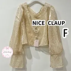 NICE CLAUP 刺繍ブラウス ドット柄シアーブラウス レース Vネック