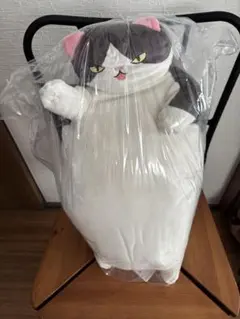 Item thumbnail for item 0c51dae1-d15c-427d-889d-9a3e82756807