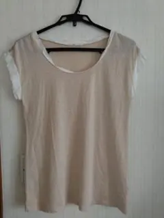 Item thumbnail for item 17d7c991-c9ea-4816-b01e-a6ffa1da9e82