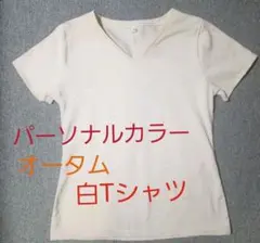 パーソナルカラーオータム用白TシャツM