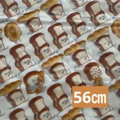 Item thumbnail for item 0498a935-1252-4131-b0ea-8e94854045a6