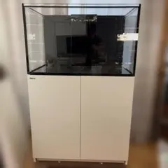 2026年最新】Red Seaの人気アイテム - メルカリ