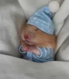 コスメのサムネイル