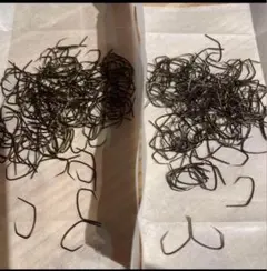 Item thumbnail for item cd44972d-f05a-485d-8458-c561f17a3b89