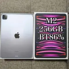 iPad Pro 11インチ 第4世代 256GB バッテリー86%