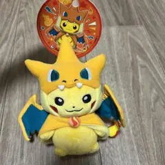 メガリザードンYのポンチョを着たピカチュウ