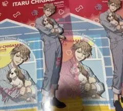 A3! 一番くじ わんわんといっしょ C賞 クリアファイル 茅ヶ崎至