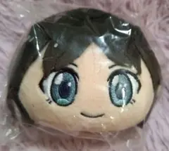戦姫絶唱シンフォギアXV ぬいぐるみましゅコット 小日向未来