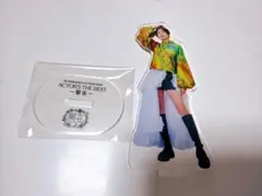 2026年最新】柴咲コウ アクスタの人気アイテム - メルカリ