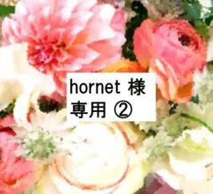 hornet 様 専用② 2020年 最新版 ミッキーパッケージ＋G　DWE美多
