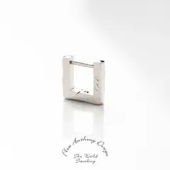 Flea Anthony Design プラチナコーティング