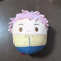 虎杖悠仁　ふわコロりん