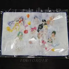 セラミュ　ルムヴマンフィナール　タオル　うさぎ、衛、ちびうさ、他　原作イラスト