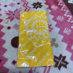 Item thumbnail for item e1b4ef3c-99b8-4f08-8f09-abf558b4cb34