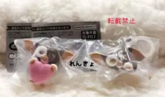 GREMLINS めじるしアクセサリー ギズモ 2種セット