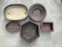 盆栽⭐︎陶器鉢5点セット！