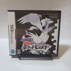 (値下げ中)ポケットモンスター　ブラック