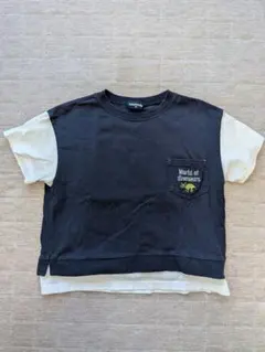 kladskap クレードスコープ Tシャツ 100cm 刺繍 恐竜のサムネイル