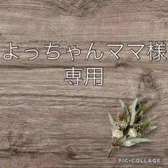 よっちゃんママ様 リクエスト 4点 まとめ商品①