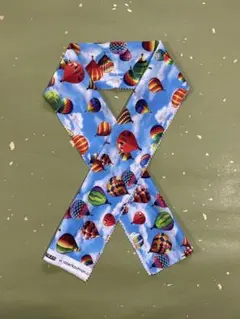 Item thumbnail for item 945c7b62-b91e-477a-a93a-a4cd3bdbb684