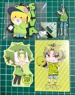 【からぴち】カラフルピーチ　シヴァ　まとめ売り
