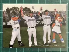N*9様 [美品] 2014 カルビー プロ野球チップス C-2 大谷翔平 中田