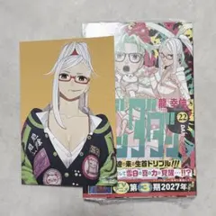 ダンダダン 22巻 メロンブックス 特典 ポストカード 漫画 コミック