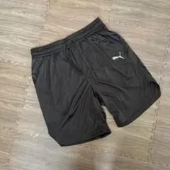 PUMAハーフパンツLレディースのサムネイル