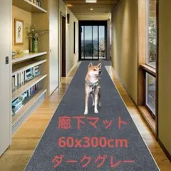 Item thumbnail for item 3aad0130-4bb7-4402-bcb6-38d27c0c2698