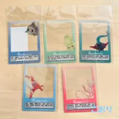 ポケモン　フォトカードセット