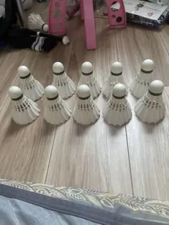 Item thumbnail for item 8d496afd-d04f-4301-8263-9a4e53e888b7