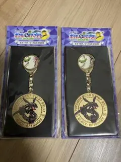 ポケモンメガスタンプラリー2025 スペシャルメダル 黒いレックウザ 2個