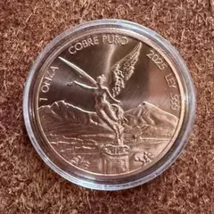 2026年最新】リベルタード銀貨の人気アイテム - メルカリ