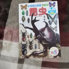 小学生の図鑑NEOまとめ売り
