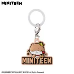 ミニティーン めじるしアクセサリー ディノ