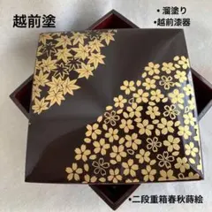 新品！河和田(かわだ越前)漆塗り　二重二枚蓋　宝づくし 二段かさね御重 二枚 蓋 新品！河和田(かわだ越前)漆塗り 二重二枚蓋 宝づくし 二段