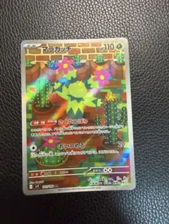 マラカッチ AR ポケモンカードゲームのサムネイル