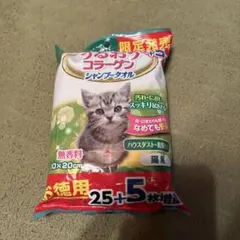 Item thumbnail for item 22a5c2c0-9554-4751-9559-23aef5fc8359