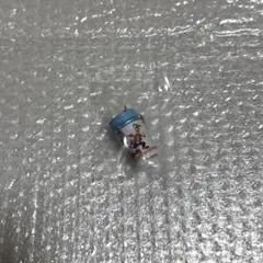 Disney MUS バックコレクション カプセルトイ ガチャ