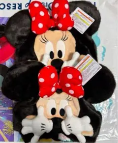 Item thumbnail for item 091a19af-27e5-4433-b5ef-664d55201c82