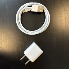 Apple LightningケーブルとUSB充電器